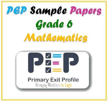 PEP Grade 6 Mathematics Sample Paper